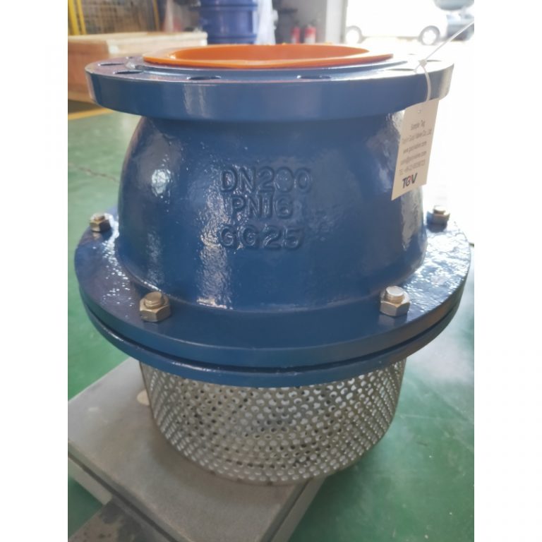 Cast Iron Foot Valve (2)