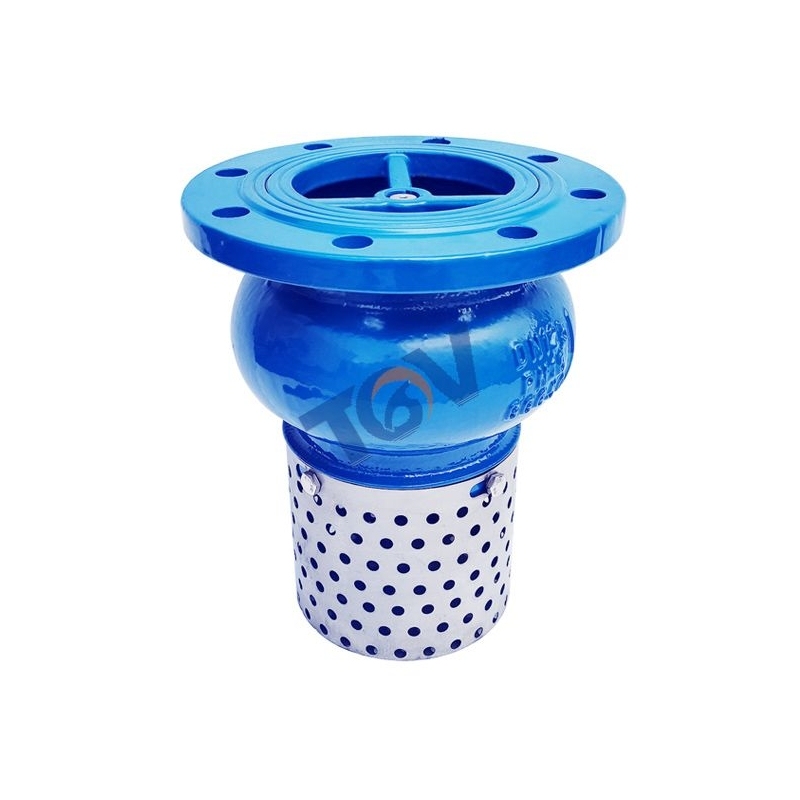 Cast Iron Foot Valve (3)