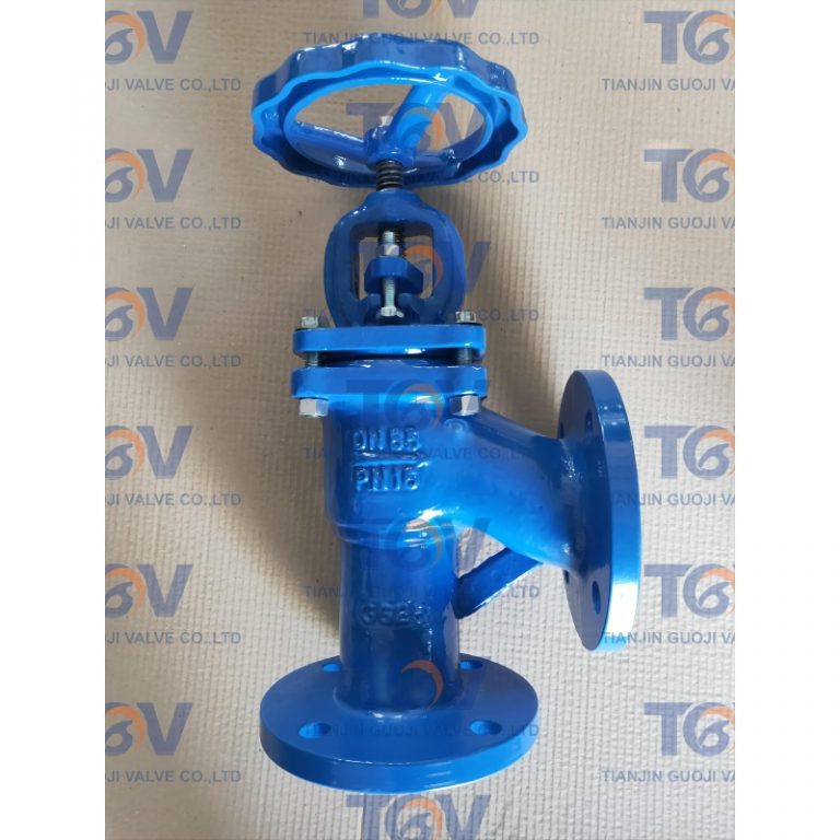DIN Angle Globe Valve (1)