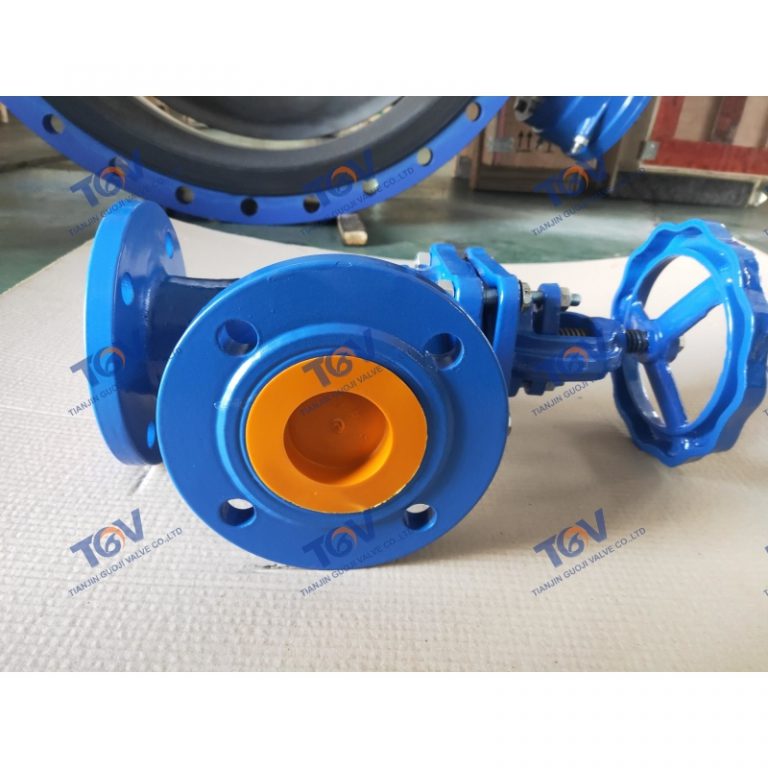 DIN Angle Globe Valve (2)