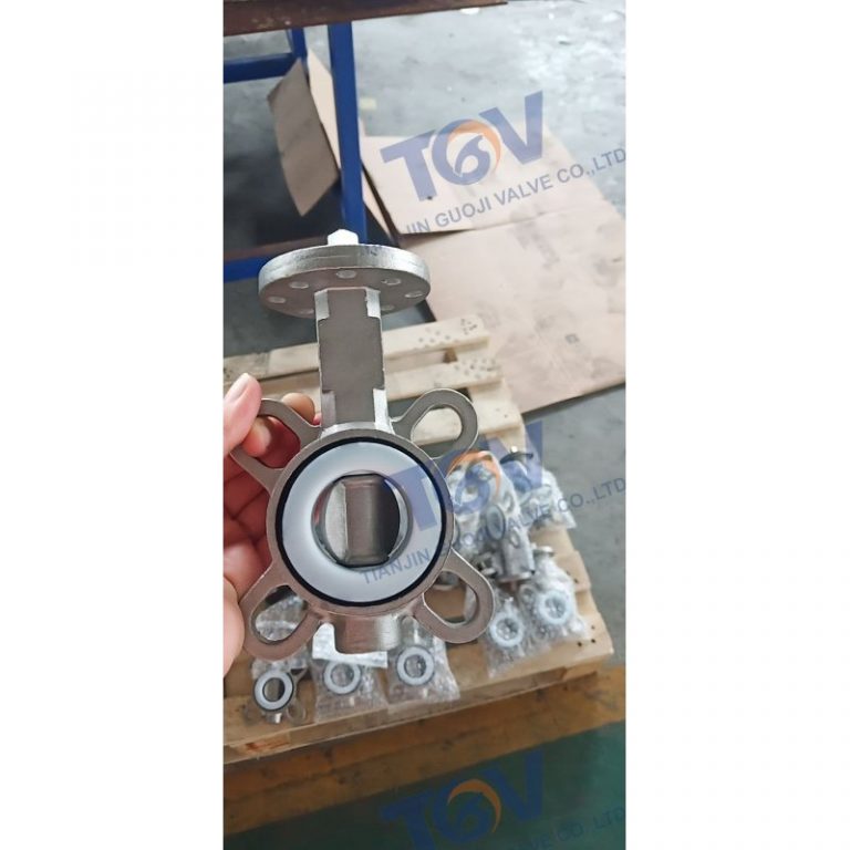 DN25 DN32 Wafer Butterfly Valve (4)