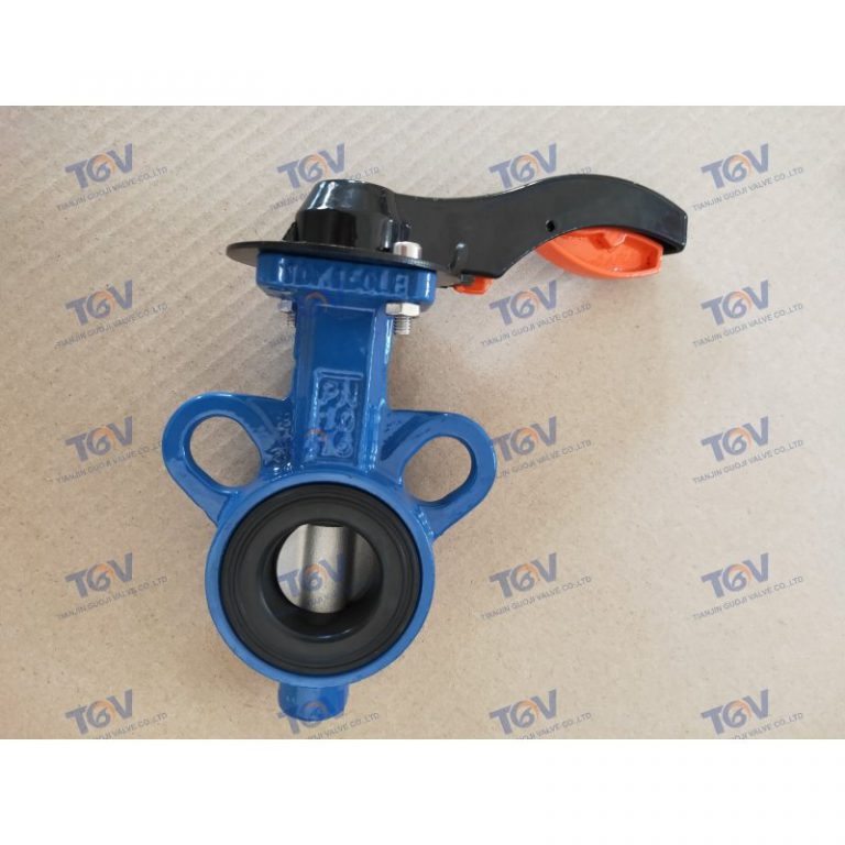DN25 DN32 Wafer Butterfly Valve (5)