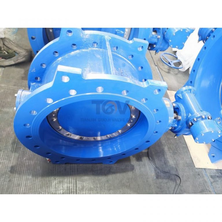 Double Offset Butterfly Valve (4)