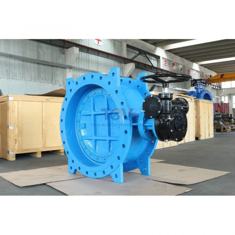 Double Offset Butterfly Valve (5)