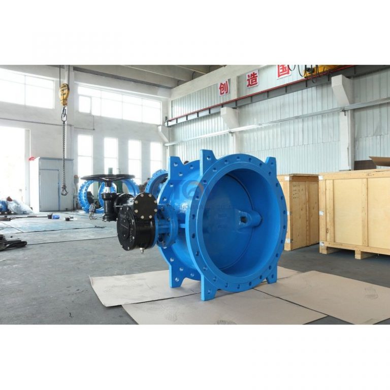 Double Offset Butterfly Valve (6)