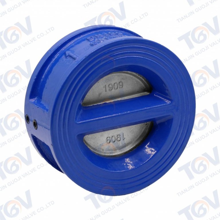 Dual Plate Check Valve (3)