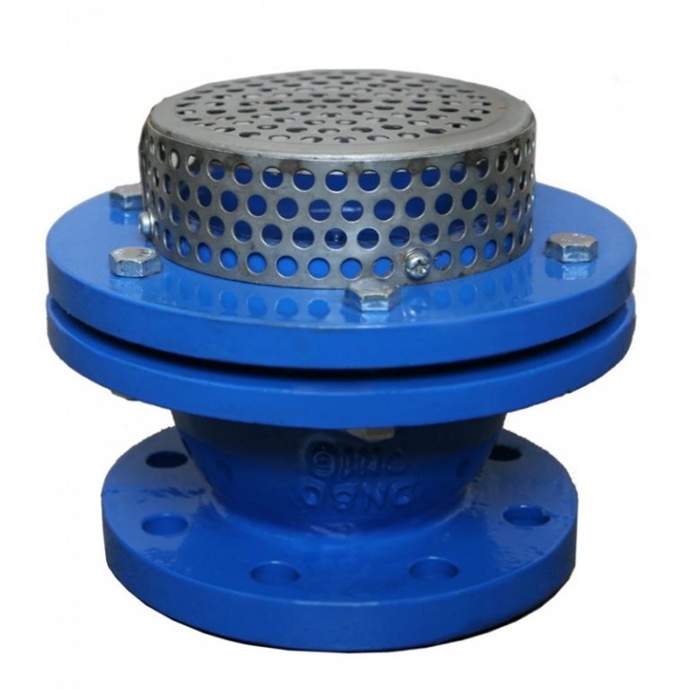 Foot Valve (1)