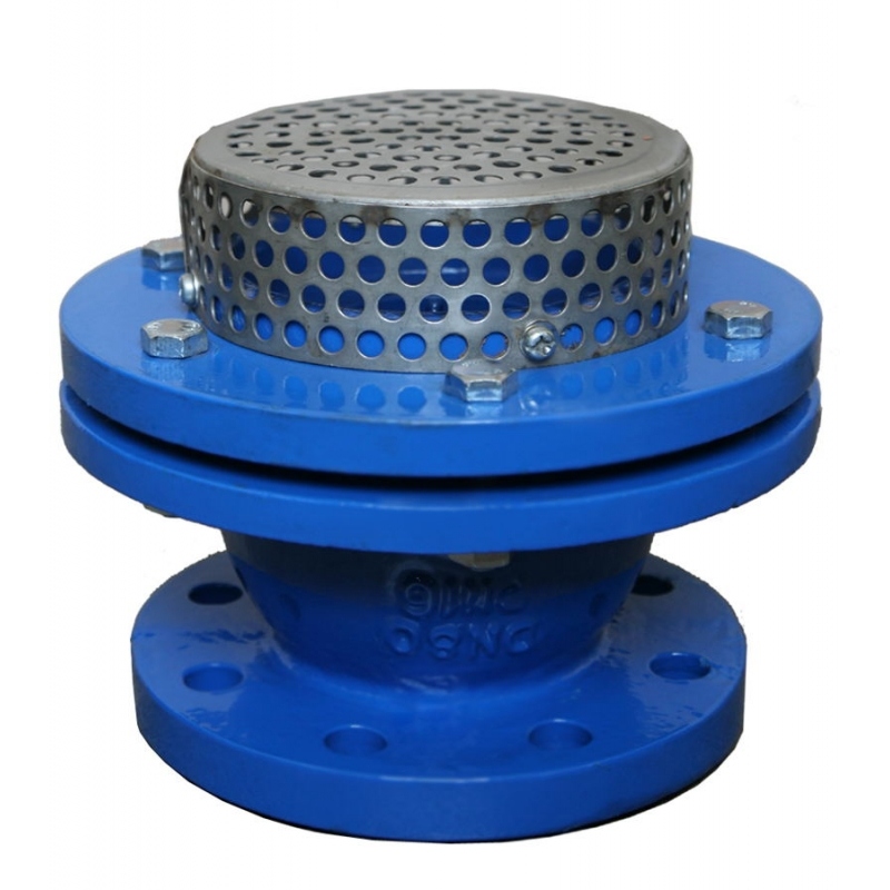 Foot Valve (1)