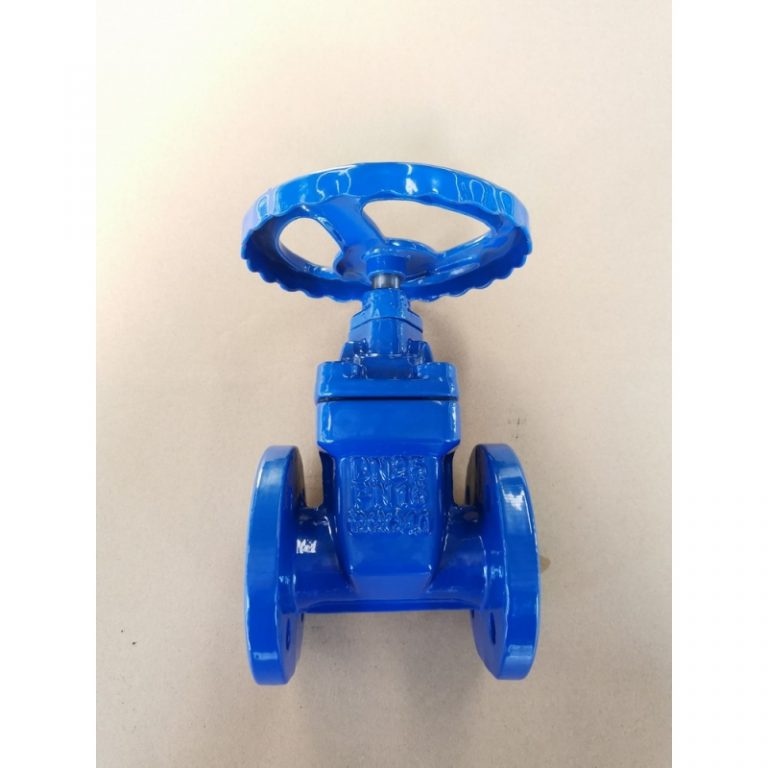 Resilient Gate Valve (5)