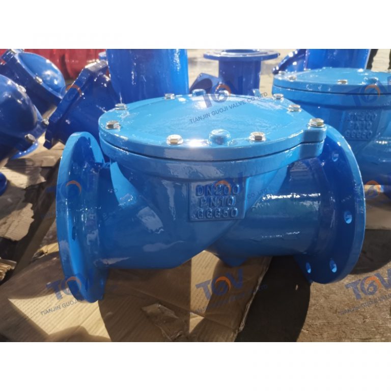 Rubber Disc Check Valve (3)