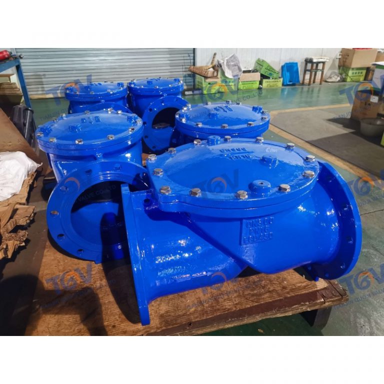 Rubber Disc Check Valve (6)