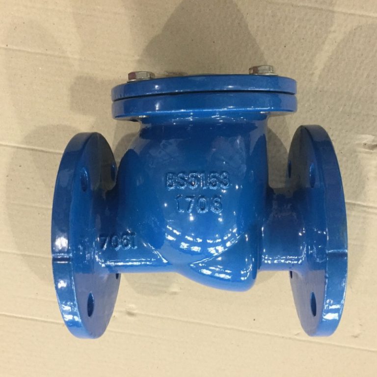 Swing Check Valve (BS5153) (3)