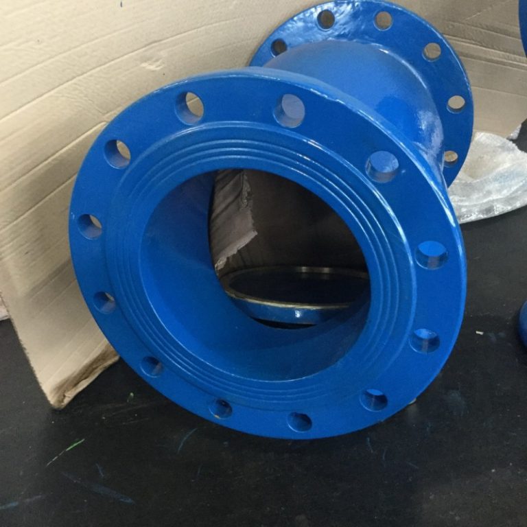 Swing Check Valve (BS5153) (5)