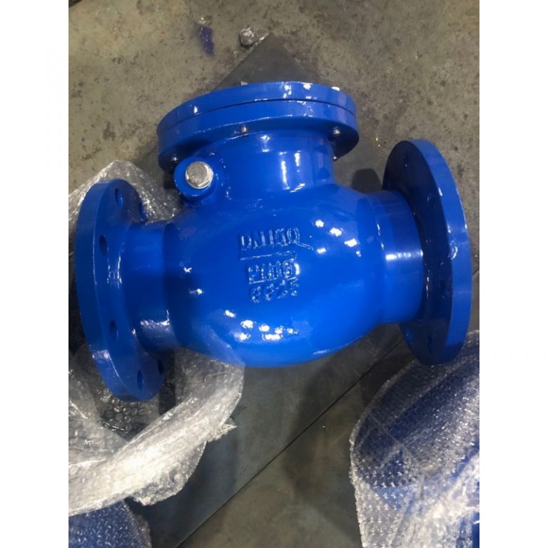 Swing Check Valve (DIN3202 F6) (4)