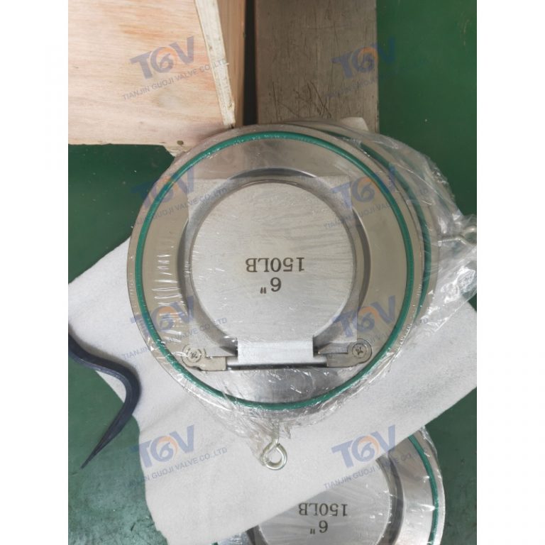 Swing Single Disc Wafer Check Valve (6)